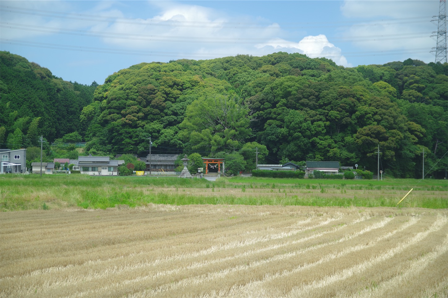 f:id:taka-xl883n:20250617172939j:image