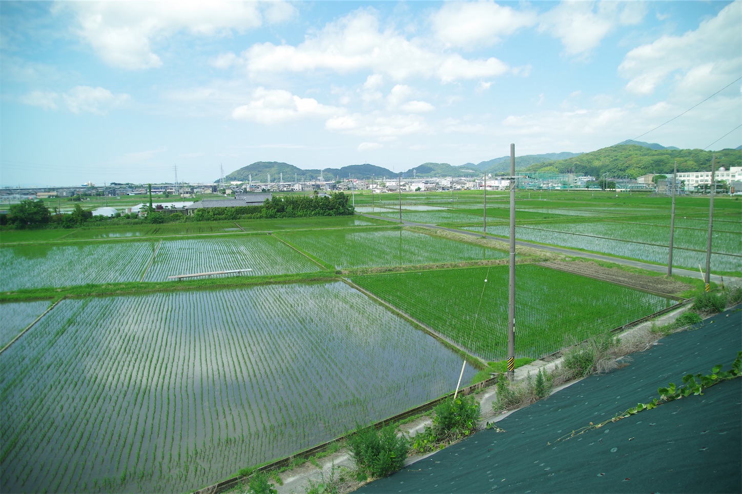 f:id:taka-xl883n:20250617172948j:image f:id:taka-xl883n:20250617172948j:image