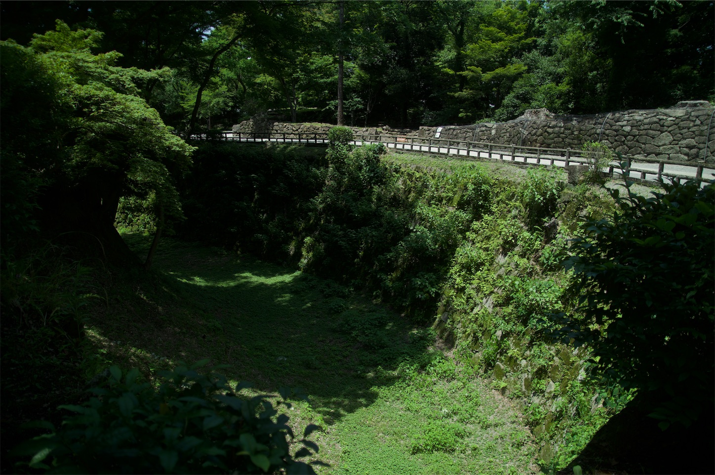 f:id:taka-xl883n:20250617173411j:image