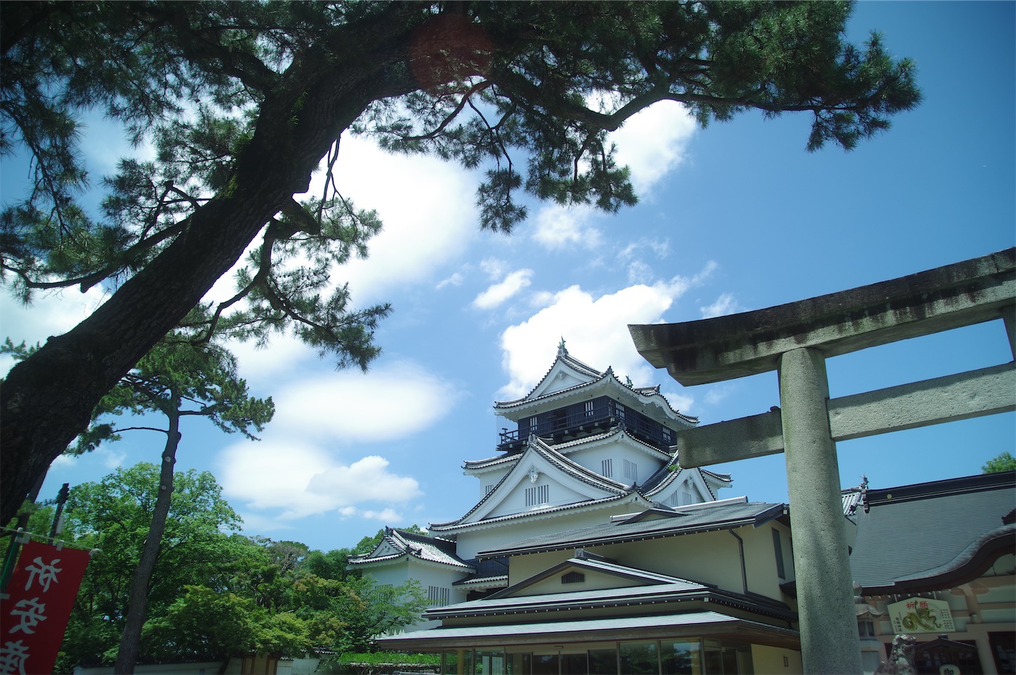 f:id:taka-xl883n:20250617173420j:image
