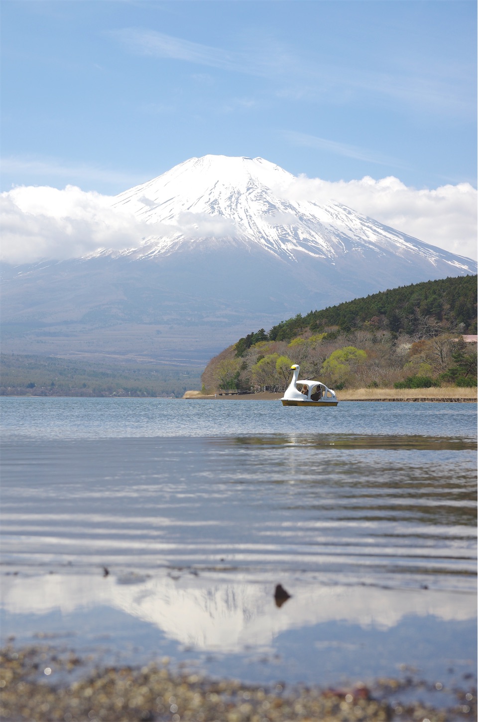 f:id:taka-xl883n:20260414190202j:image