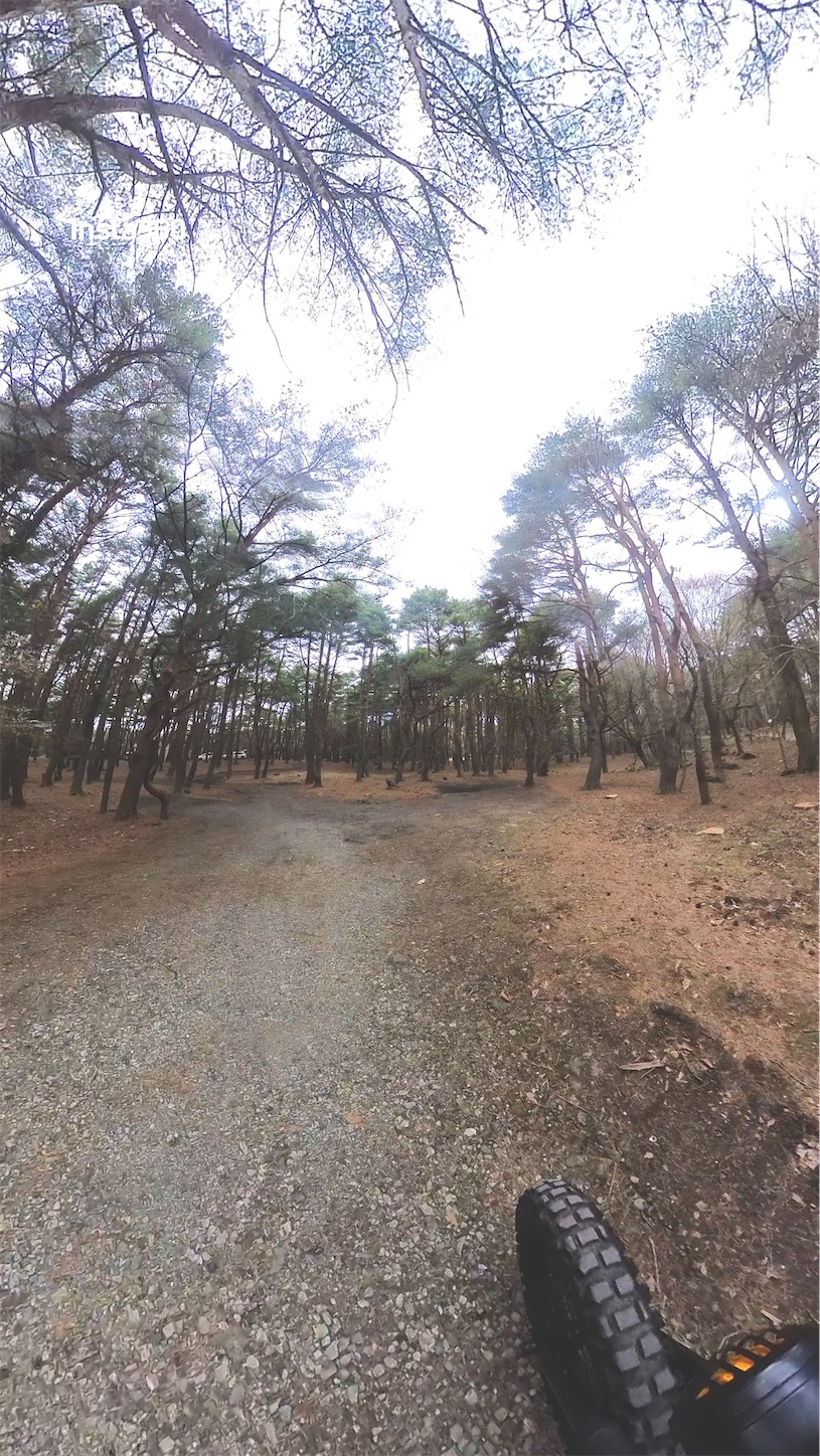 f:id:taka-xl883n:20260430013406j:image