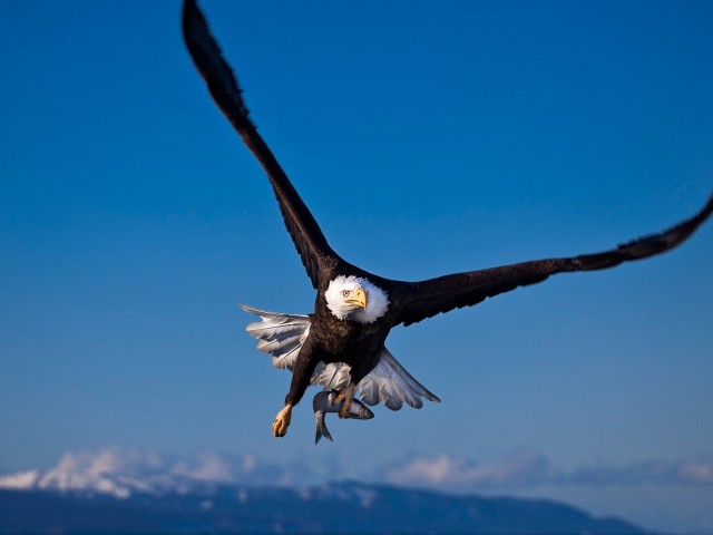 f:id:taka-yamada35:20171221205901j:image