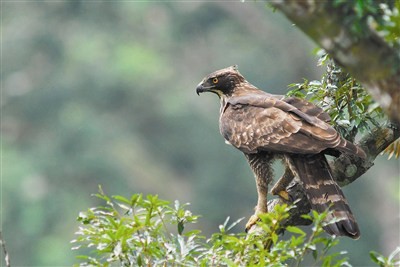 f:id:taka-yamada35:20171221211912j:image