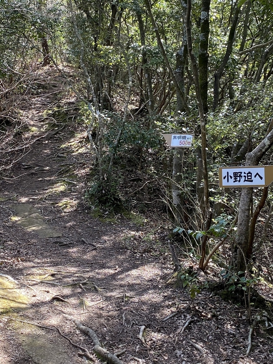 f:id:taka0116hiro:20200322210158j:plain
