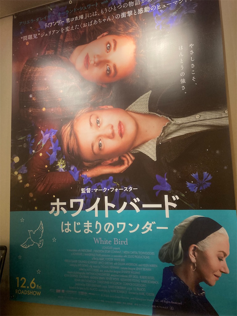 f:id:taka0123tan:20241208185253j:image