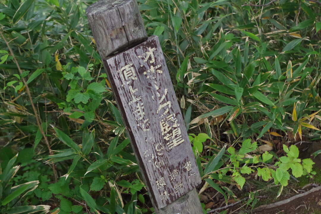 f:id:taka02271985:20190912112001j:plain f:id:taka02271985:20190912112001j:plain