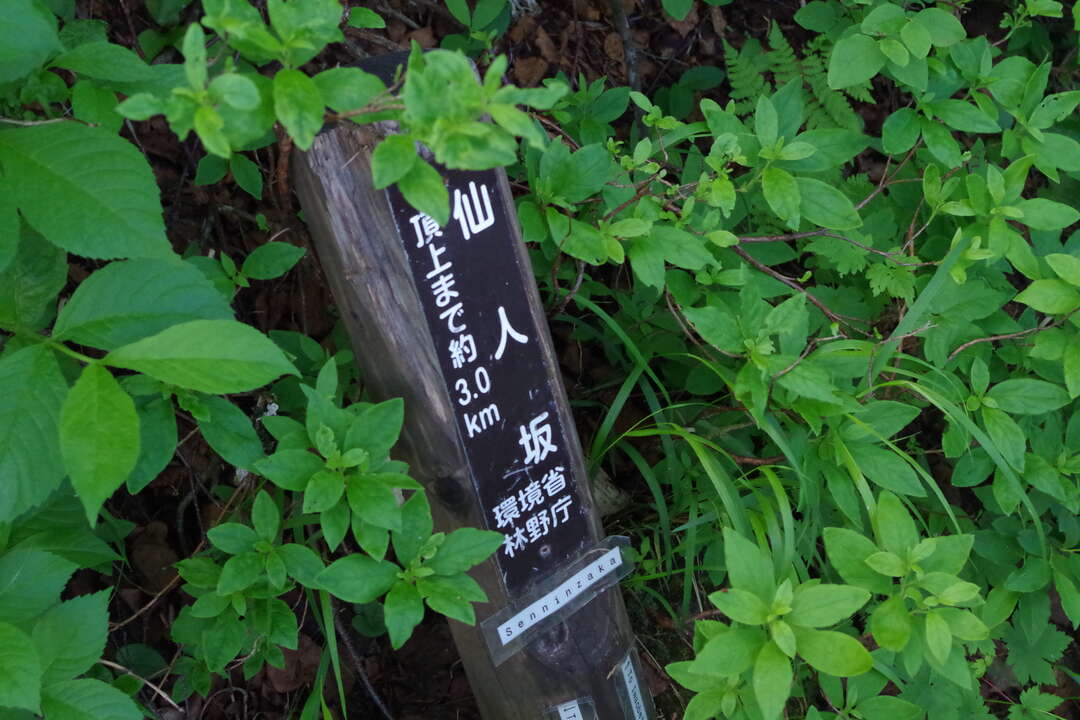 f:id:taka02271985:20190912112059j:plain f:id:taka02271985:20190912112059j:plain