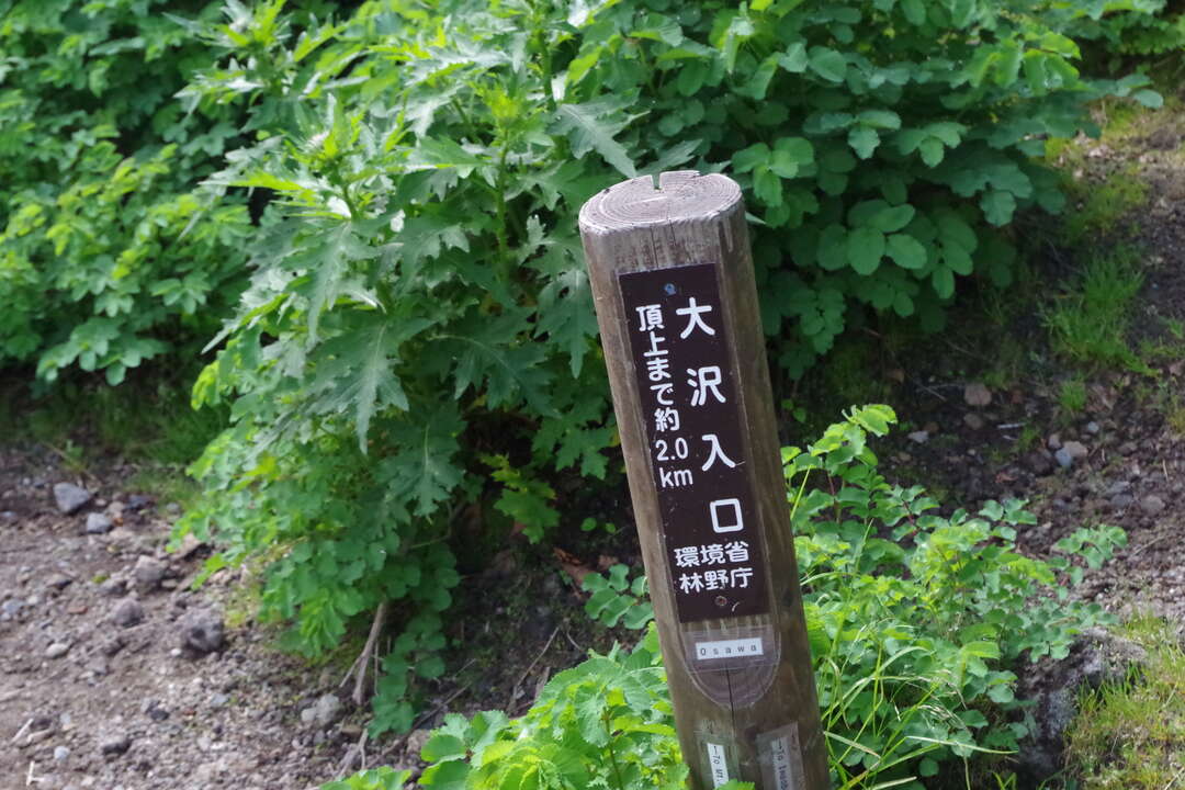 f:id:taka02271985:20190912112137j:plain f:id:taka02271985:20190912112137j:plain