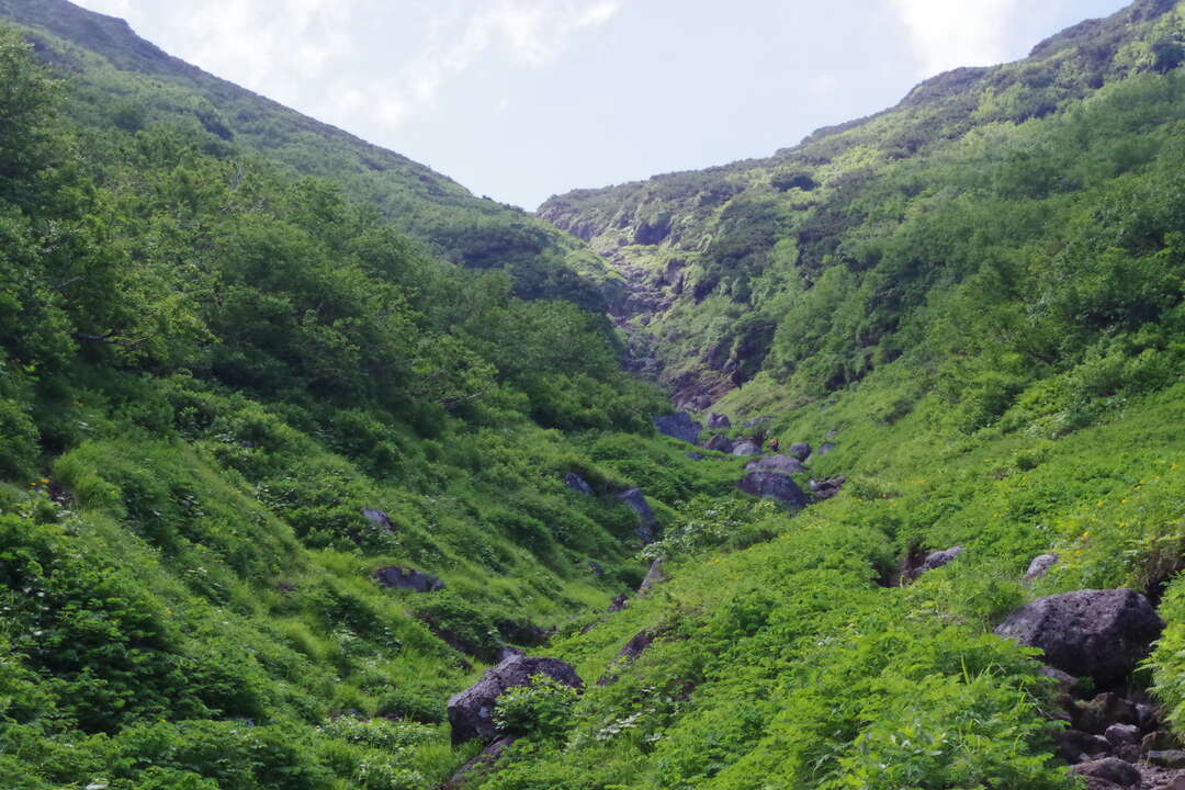 f:id:taka02271985:20190912112246j:plain f:id:taka02271985:20190912112246j:plain