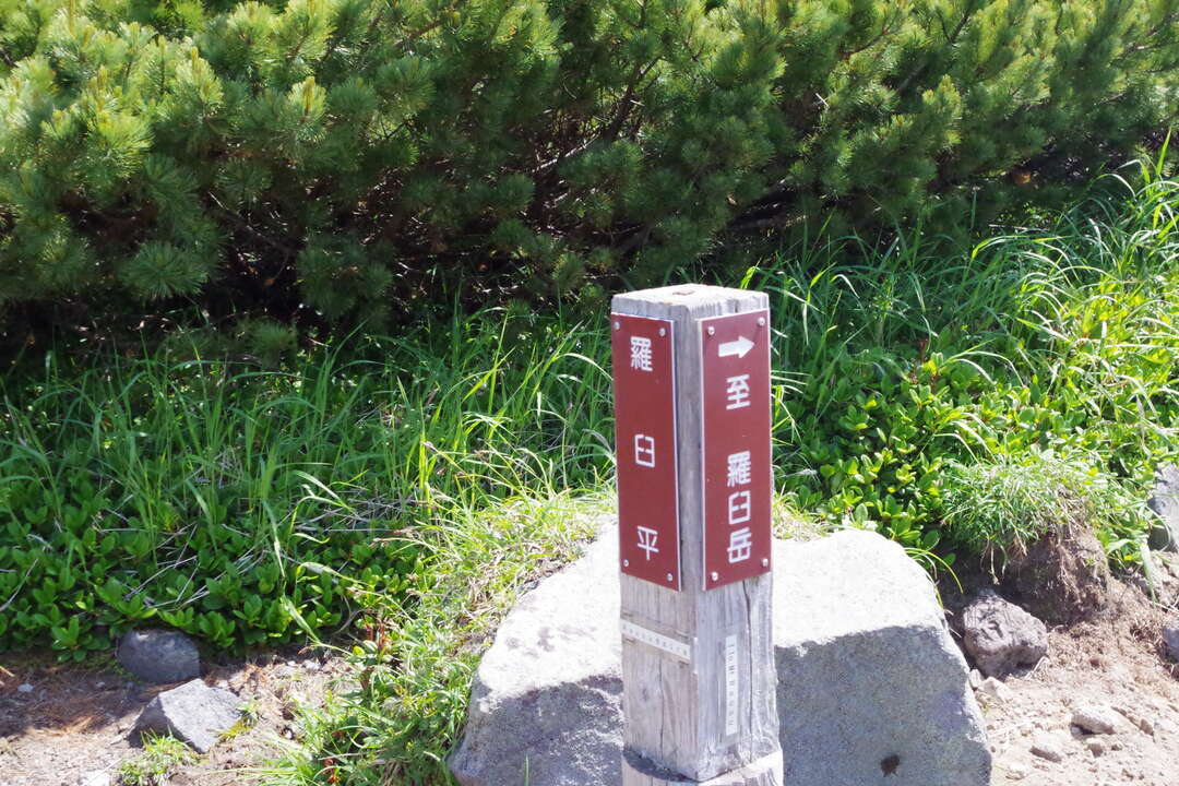 f:id:taka02271985:20190912112427j:plain f:id:taka02271985:20190912112427j:plain