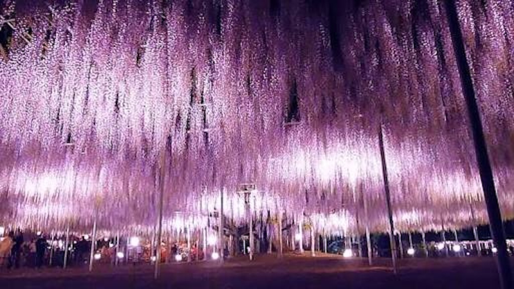 f:id:taka0725h:20161030194513j:image f:id:taka0725h:20161030194513j:image
