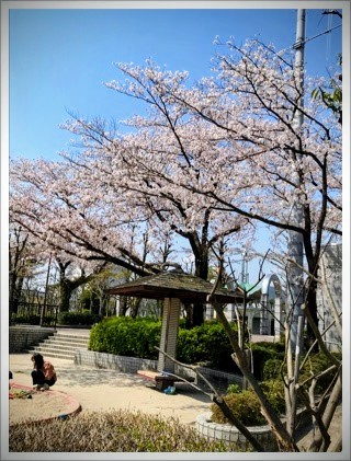 f:id:taka1119:20260220111039j:image f:id:taka1119:20260220111039j:image