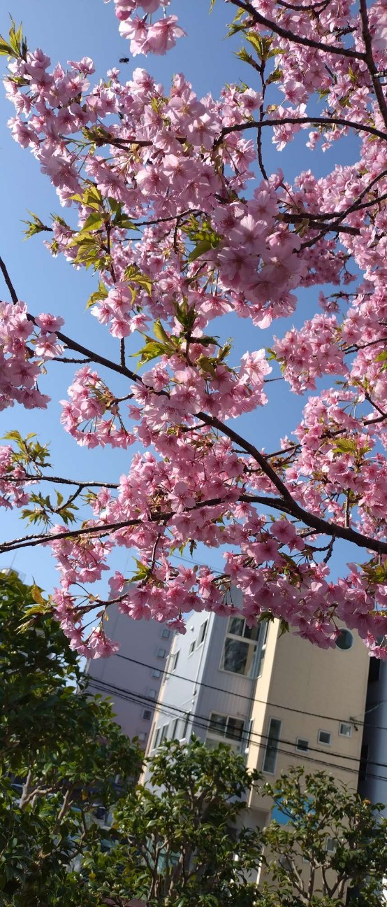 f:id:taka1119:20260304130932j:image f:id:taka1119:20260304130932j:image