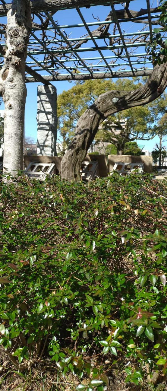 f:id:taka1119:20260305101123j:image f:id:taka1119:20260305101123j:image