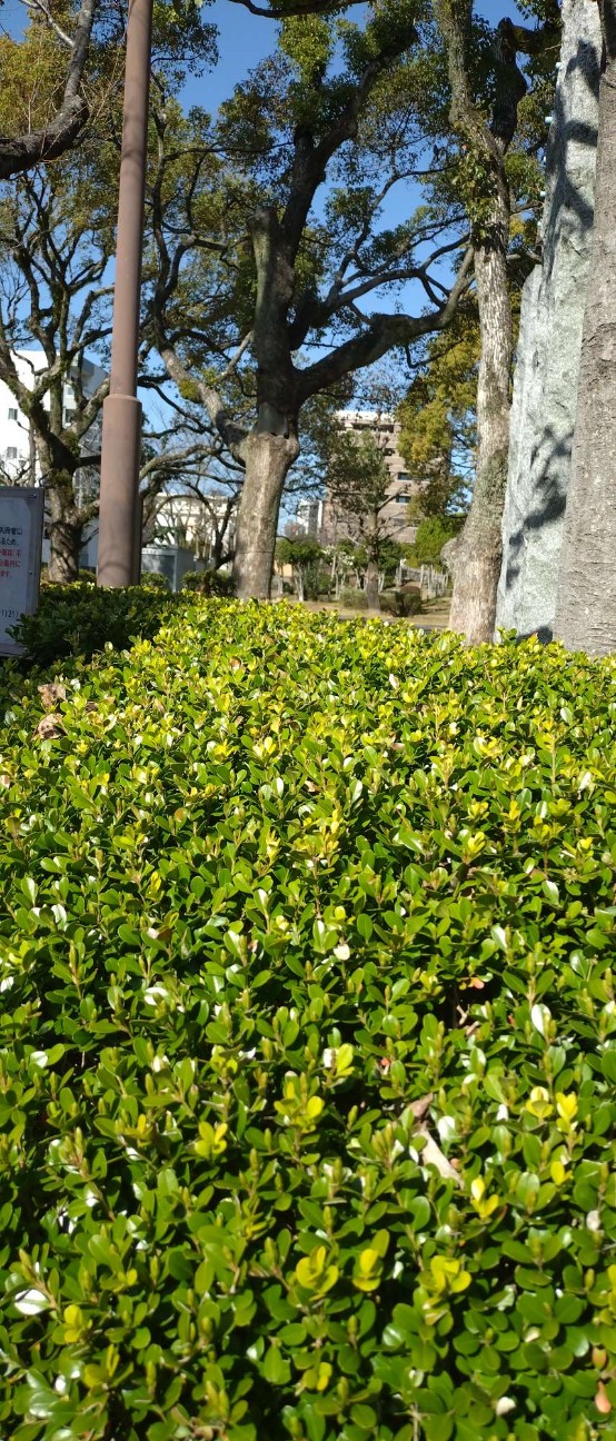 f:id:taka1119:20260305105643j:image f:id:taka1119:20260305105643j:image