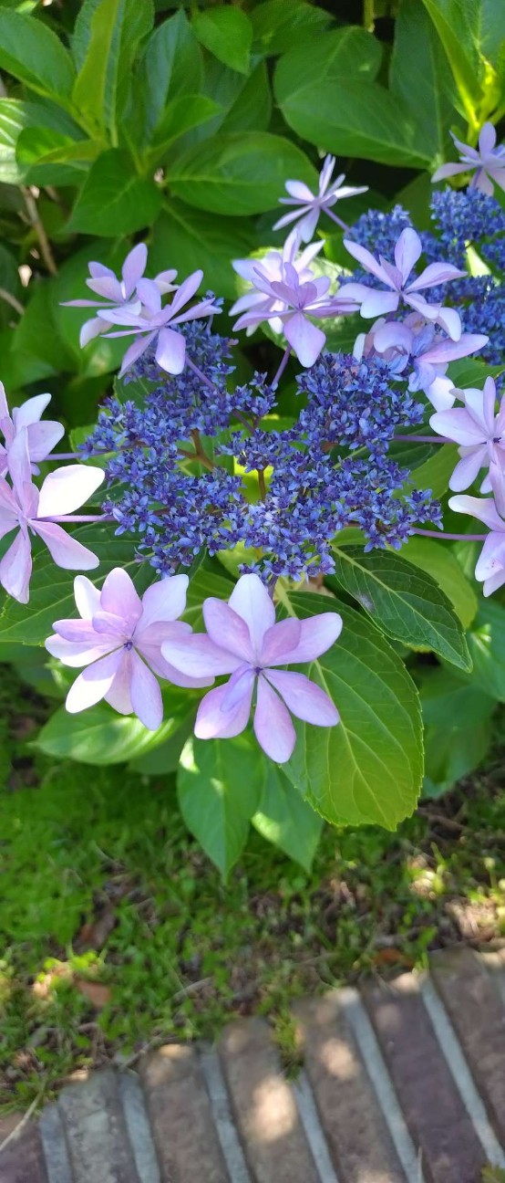 f:id:taka1119:20260610110244j:image