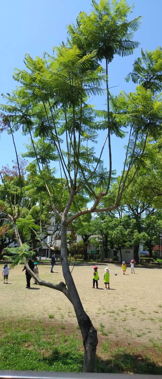 f:id:taka1119:20260610110852j:image