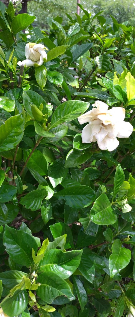 f:id:taka1119:20260618131733j:image
