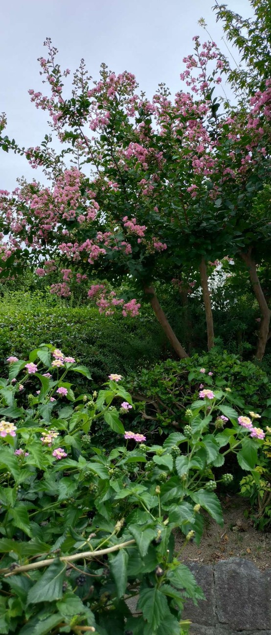 f:id:taka1119:20260817112421j:image