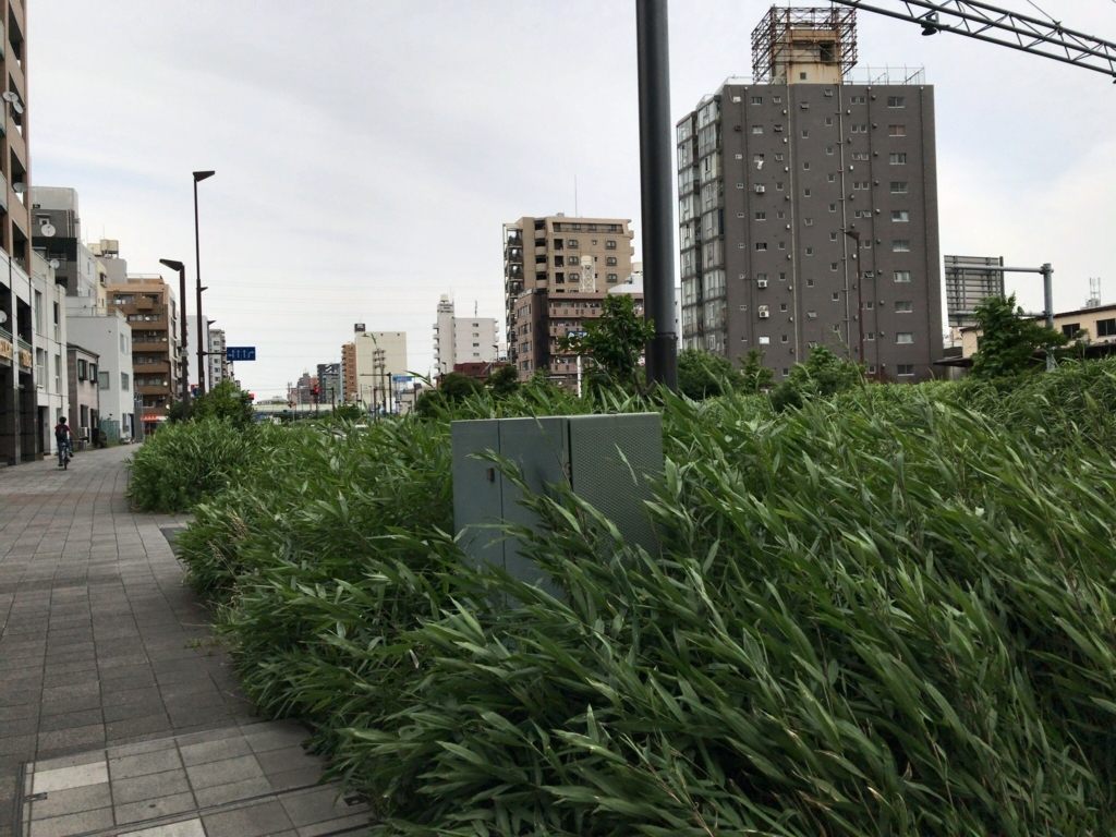 f:id:taka76:20170624232609j:plain f:id:taka76:20170624232609j:plain