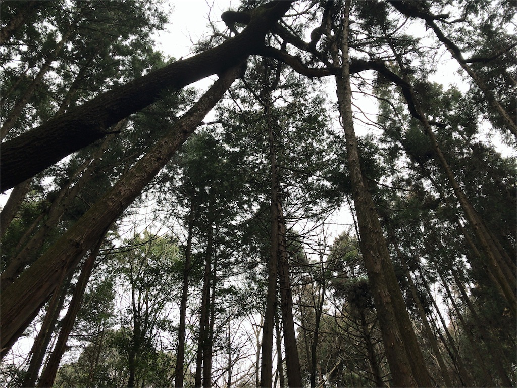 f:id:taka76:20180128155803j:image f:id:taka76:20180128155803j:image