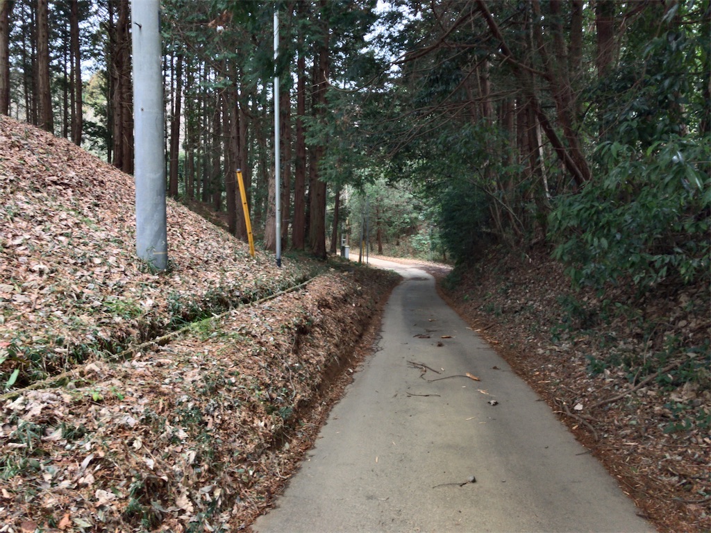 f:id:taka76:20180128161628j:image f:id:taka76:20180128161628j:image