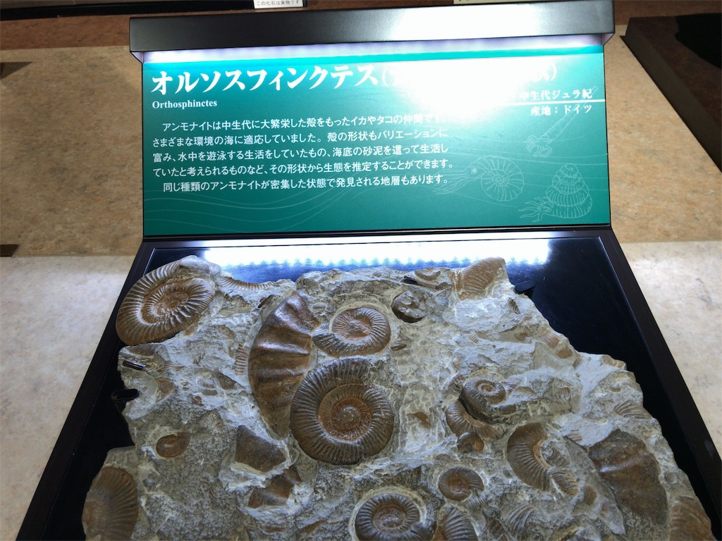f:id:taka76:20180711175043j:image f:id:taka76:20180711175043j:image