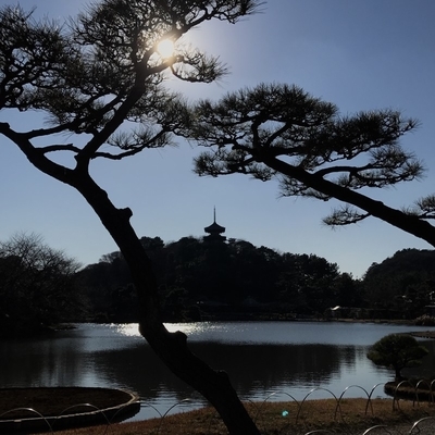f:id:taka8shi:20190203140611j:plain f:id:taka8shi:20190203140611j:plain