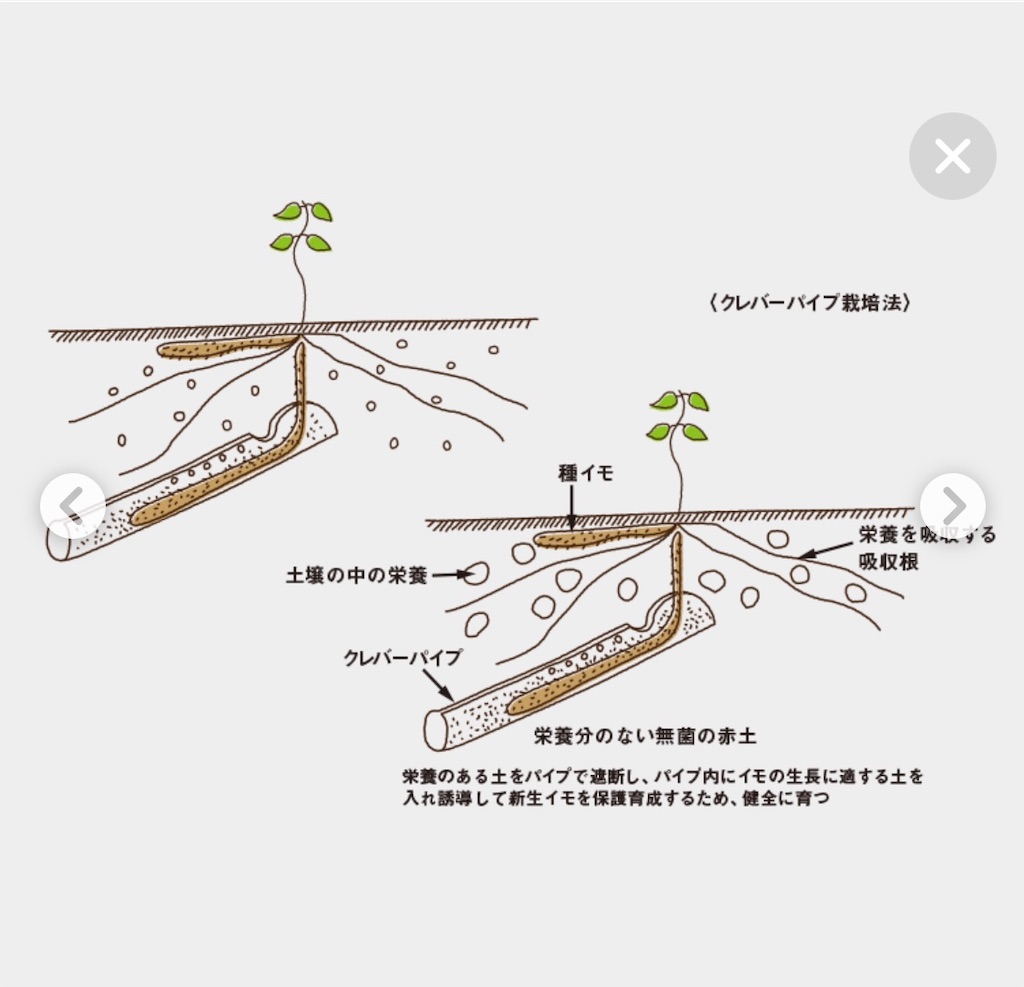 f:id:taka963:20210523164410j:image f:id:taka963:20210523164410j:image