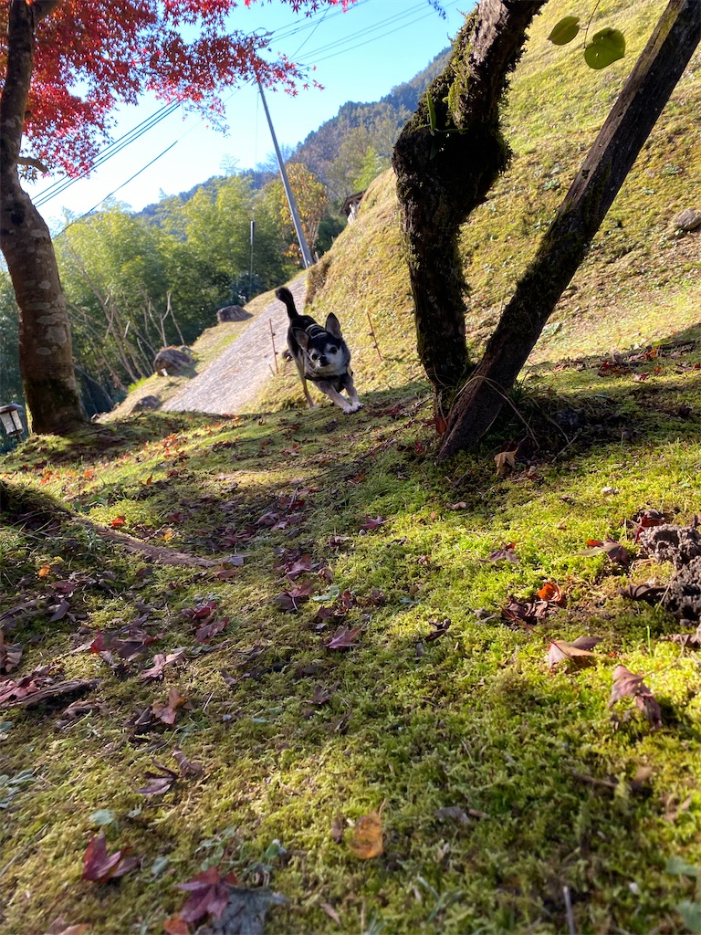 f:id:taka963:20211115145844j:image f:id:taka963:20211115145844j:image