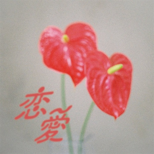 f:id:taka_71:20250101143549j:image