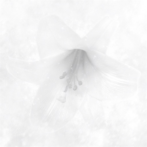 f:id:taka_71:20260101171612j:image