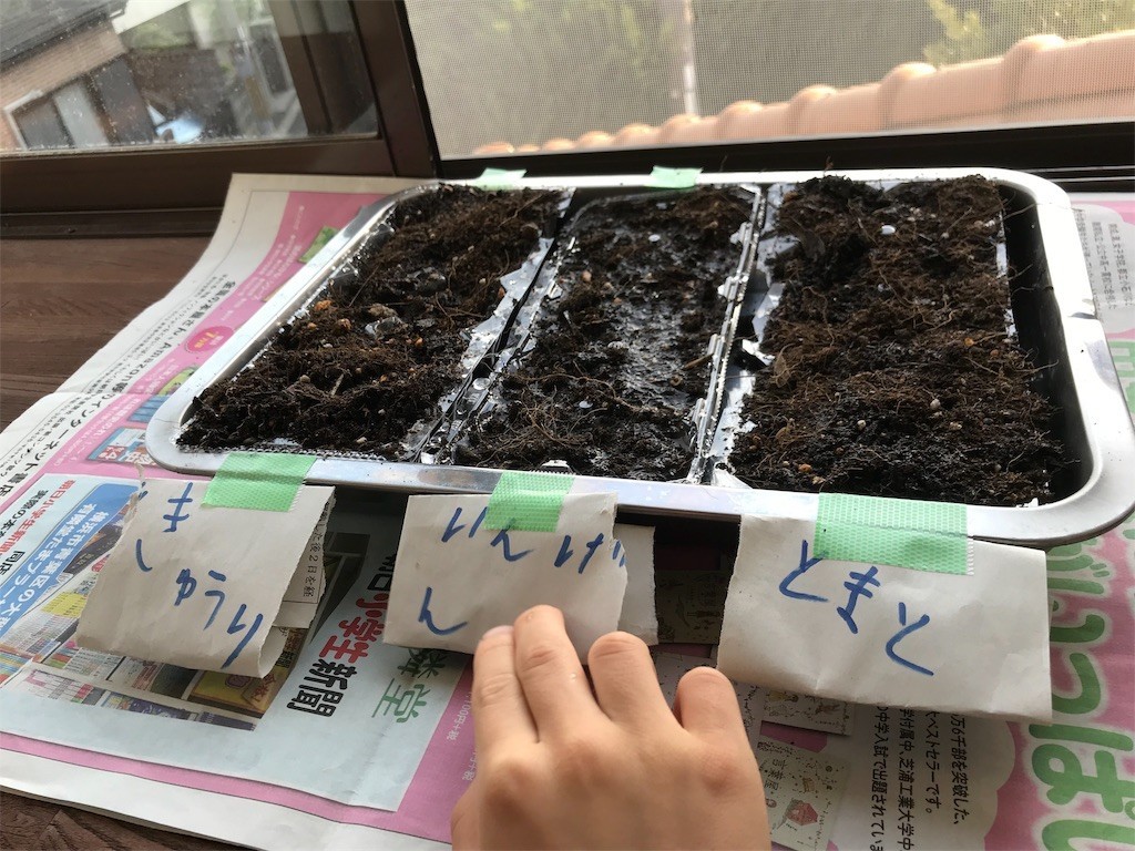 f:id:taka_deep_river:20190516075113j:image f:id:taka_deep_river:20190516075113j:image