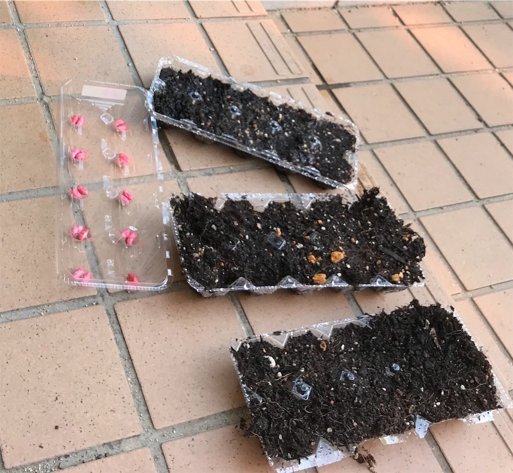 f:id:taka_deep_river:20190516091602j:image f:id:taka_deep_river:20190516091602j:image