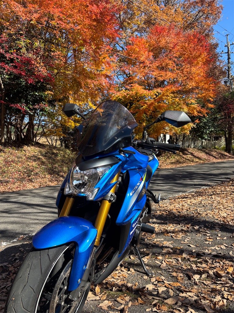 f:id:taka_mc22:20251121232004j:image