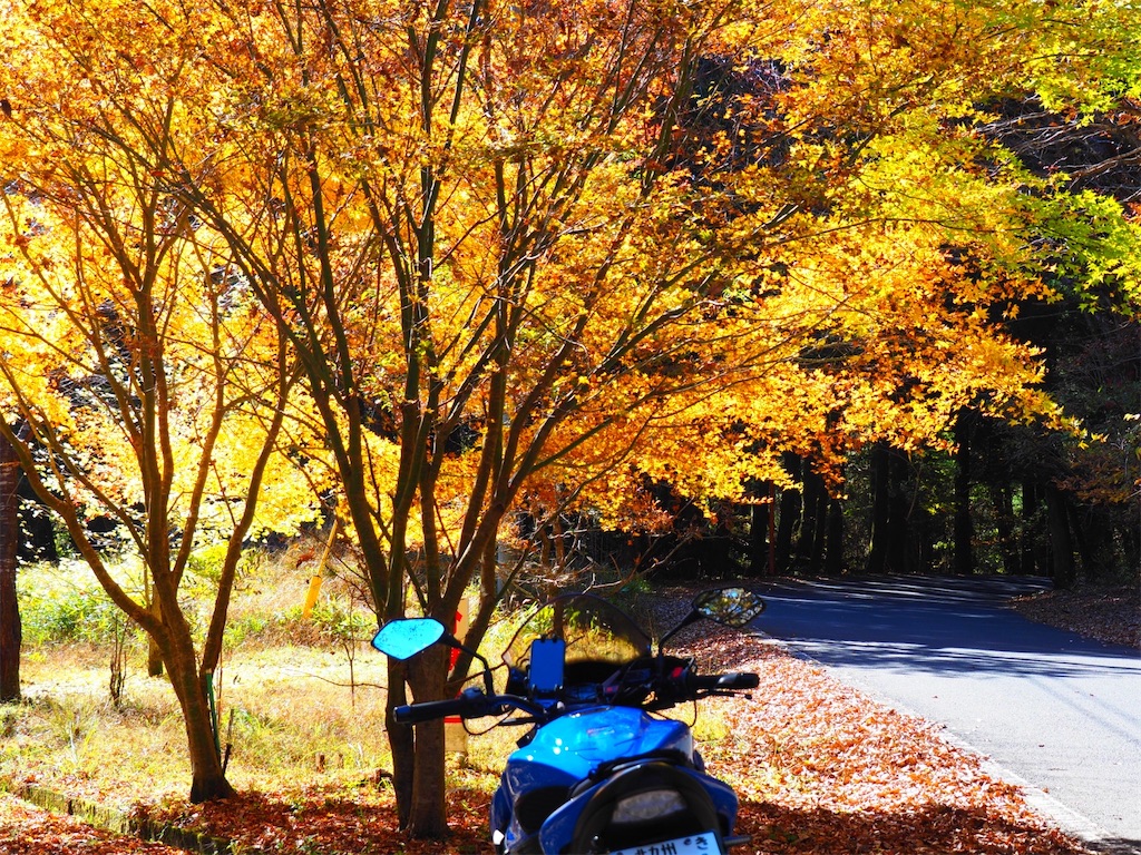 f:id:taka_mc22:20251121232018j:image