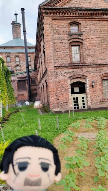f:id:taka_mine_echoo:20230915230417j:image