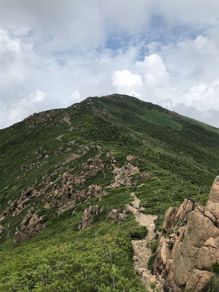 f:id:taka_nicoc:20190731202449j:image