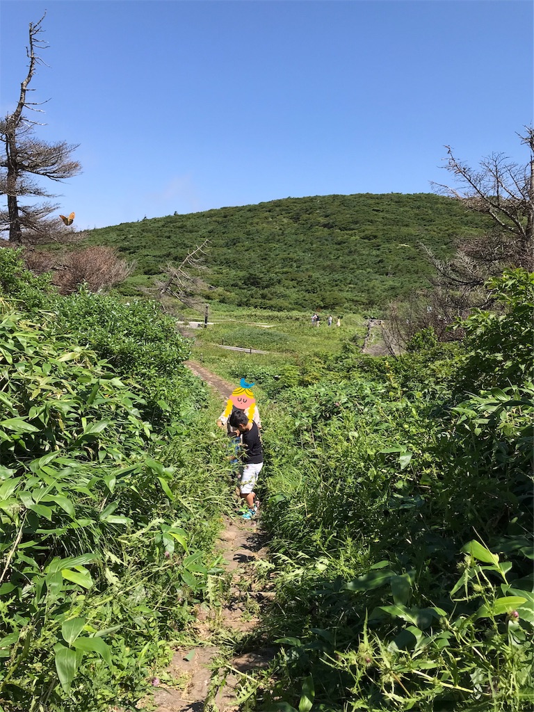 f:id:taka_nicoc:20190823201928j:image