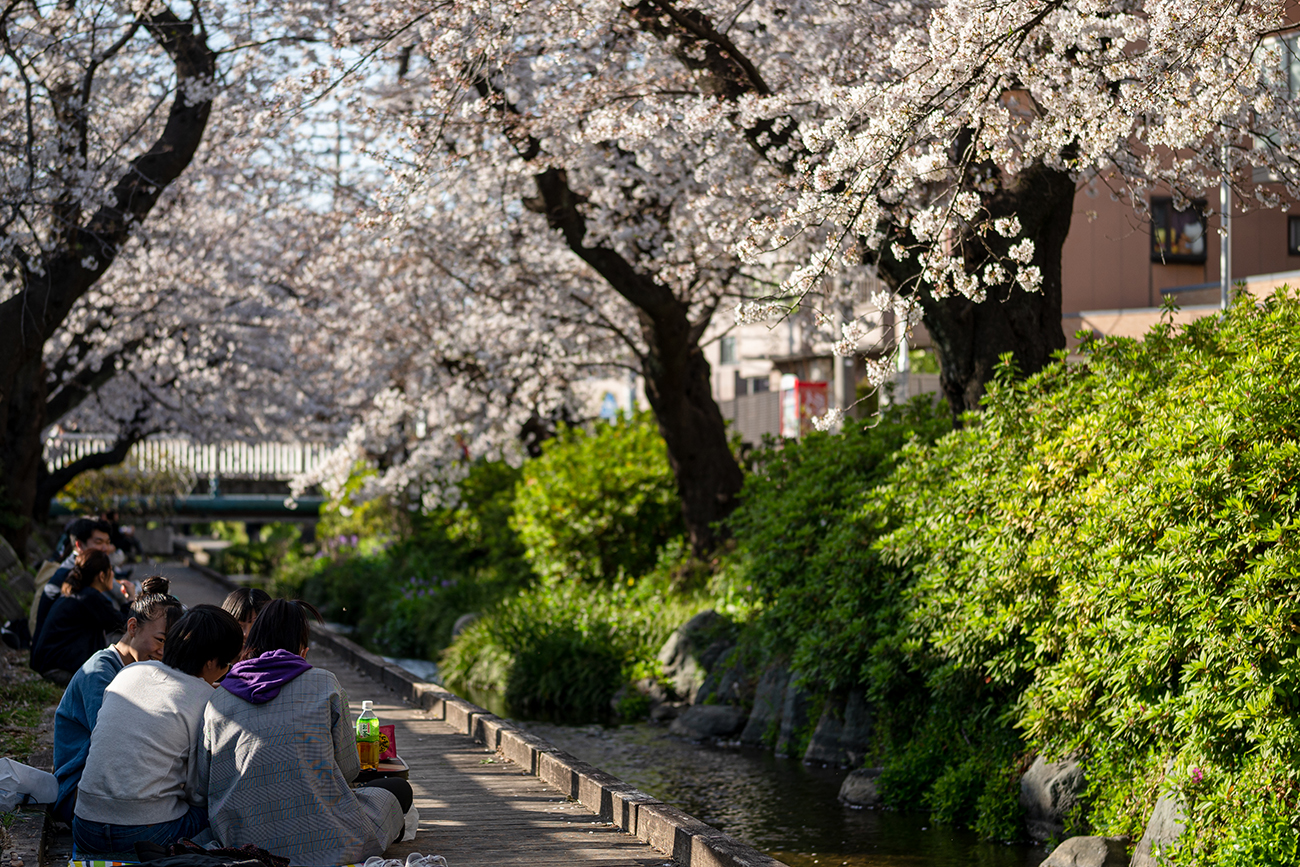 フォクトレンダー APO-LANTHAR 50mm F2、F2、1/1000秒、ISO100