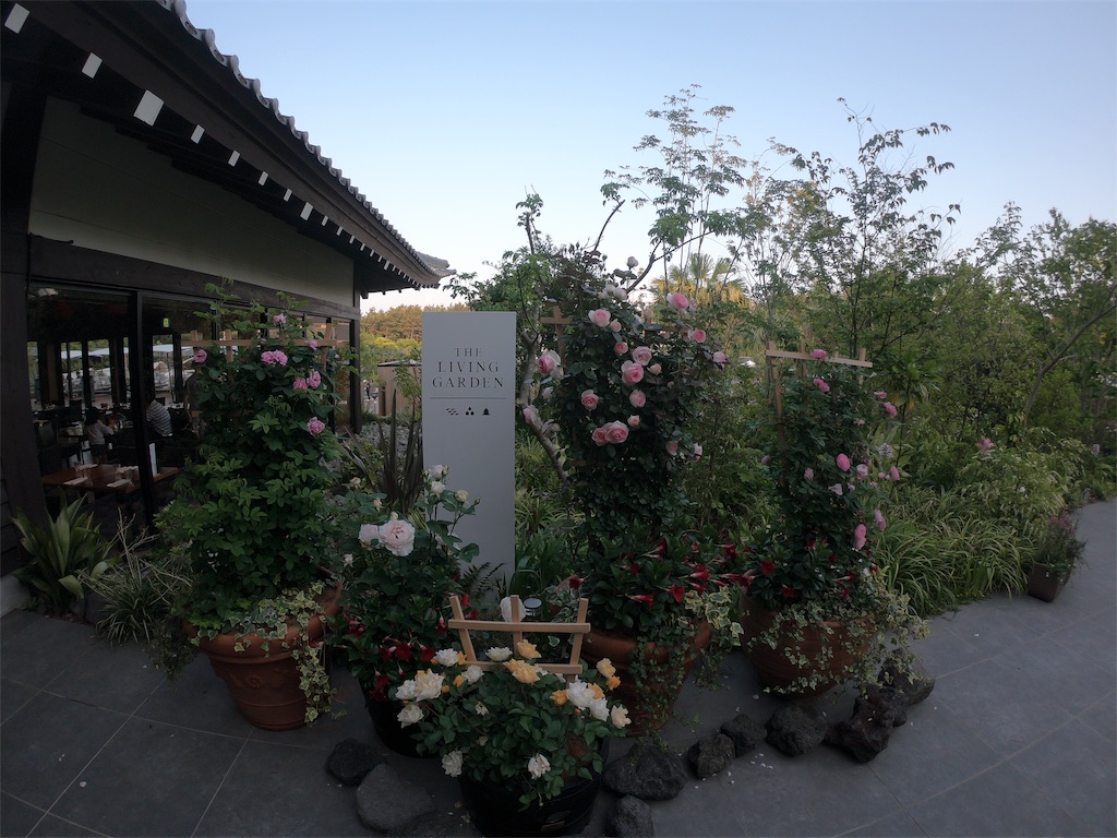 f:id:taka_shin8:20190921132544j:image f:id:taka_shin8:20190921132544j:image