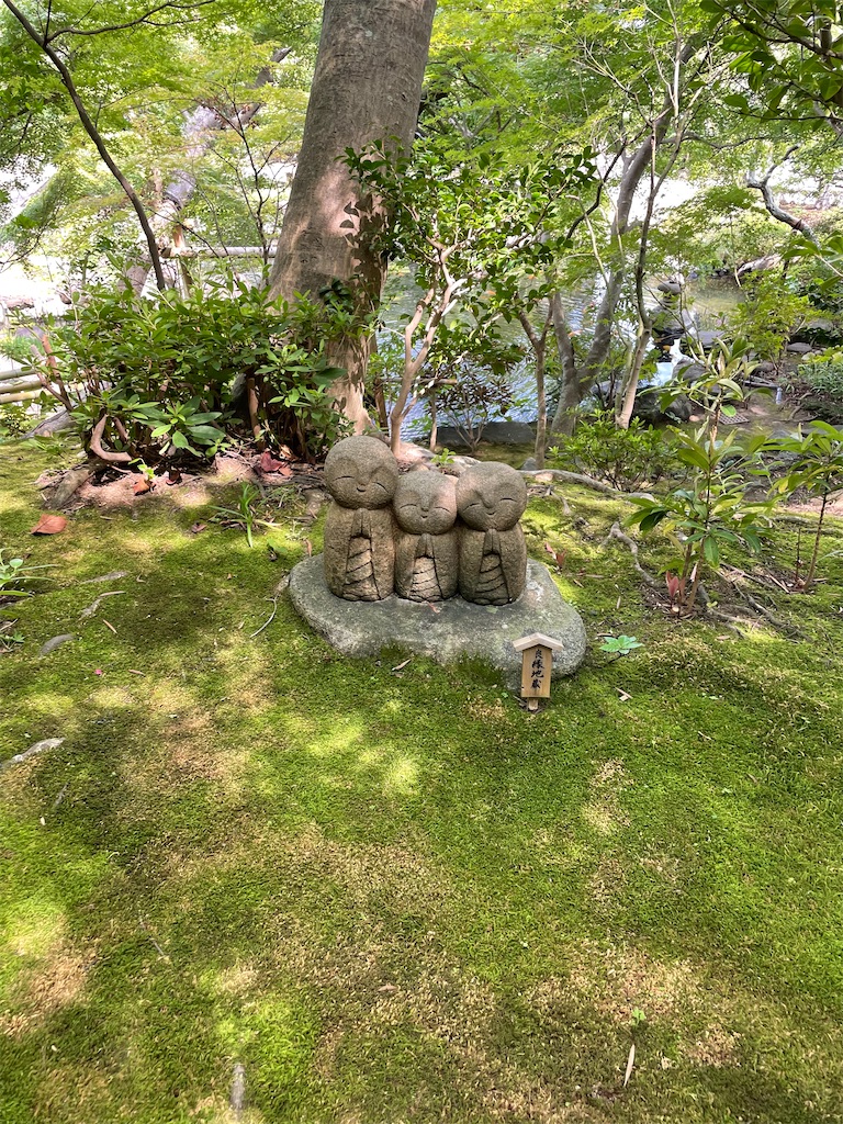 f:id:takaaon:20230617230459j:image