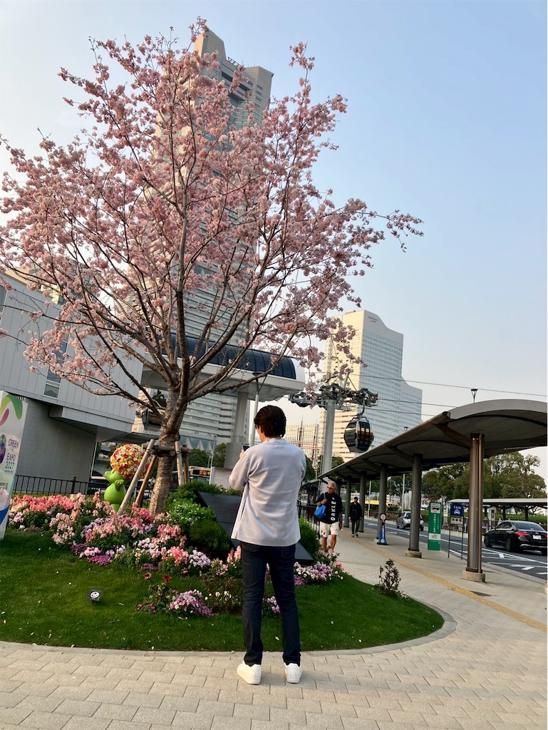 f:id:takaaoyama:20250327092436j:image