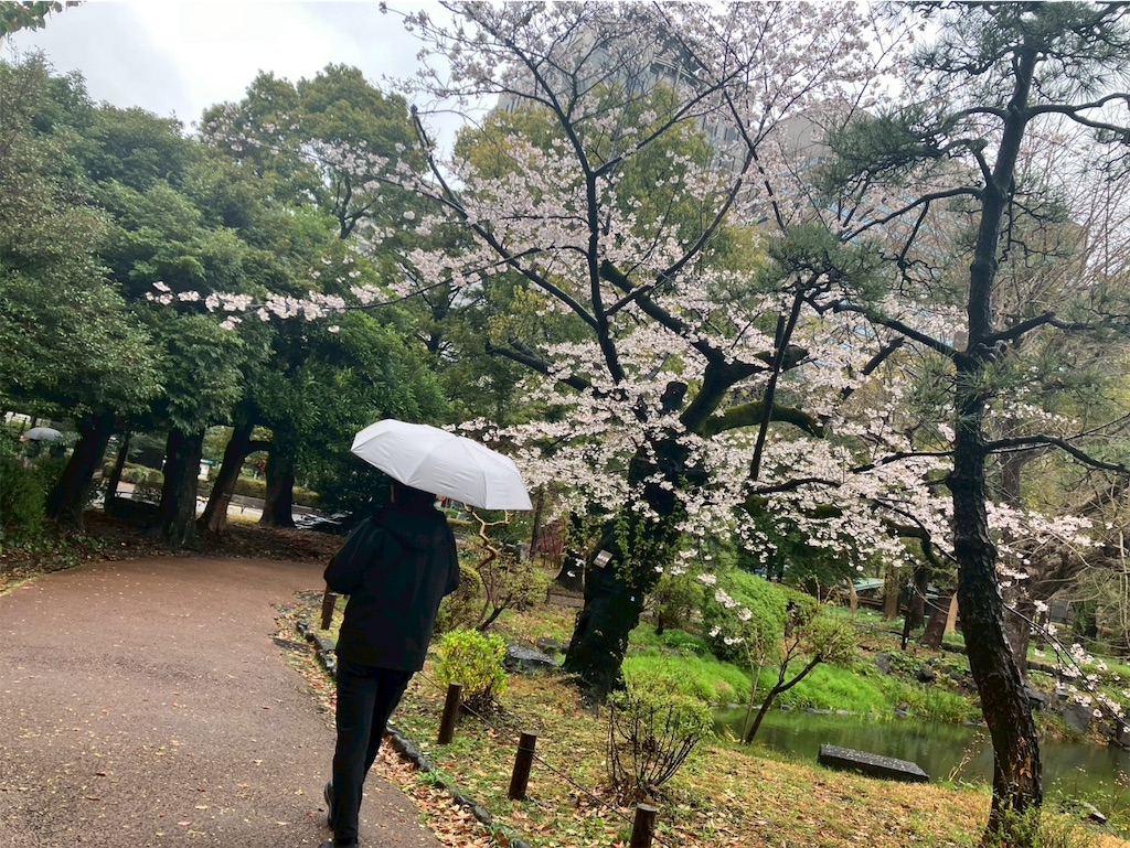 f:id:takaaoyama:20250403072123j:image