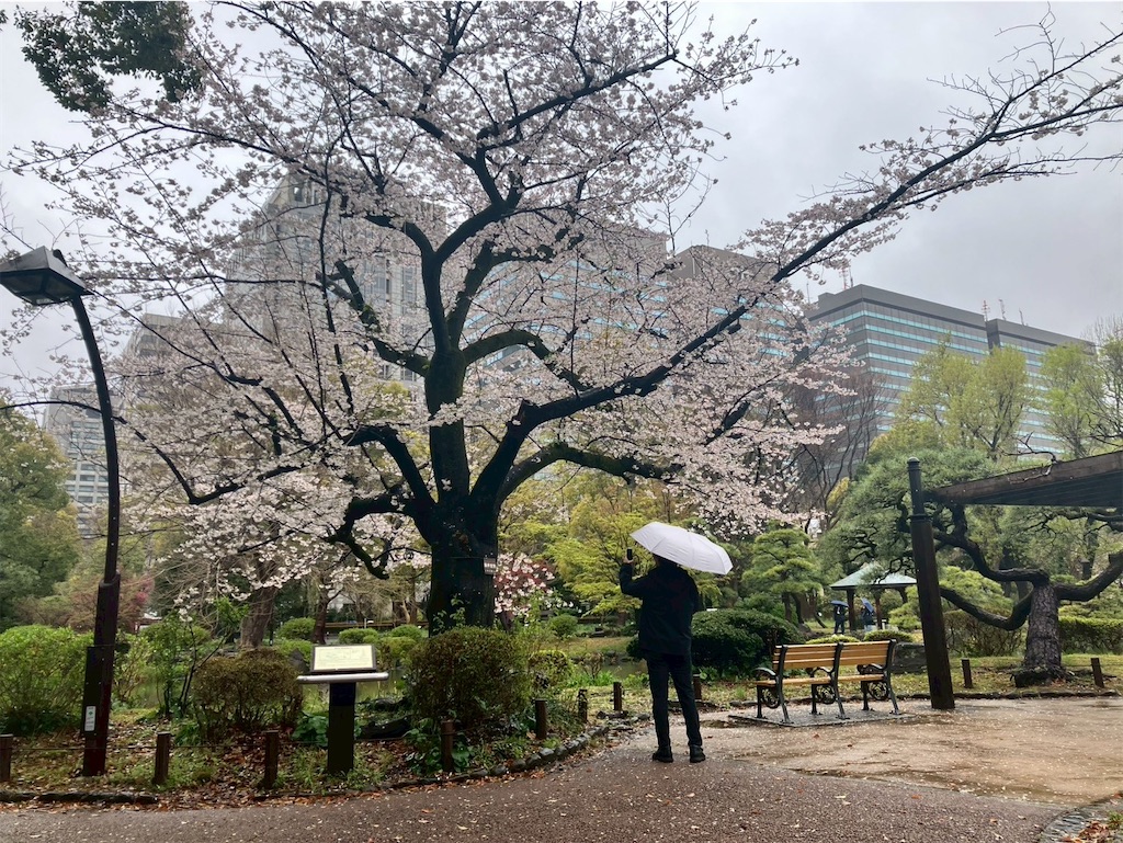 f:id:takaaoyama:20250403072128j:image