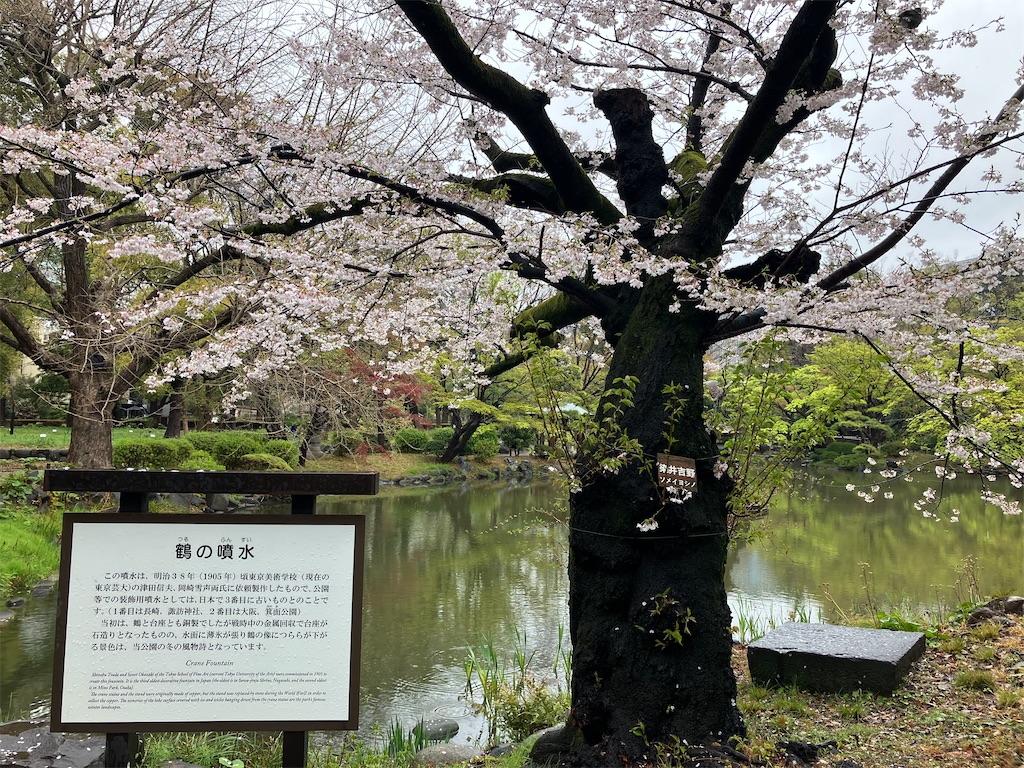 f:id:takaaoyama:20250403150001j:image