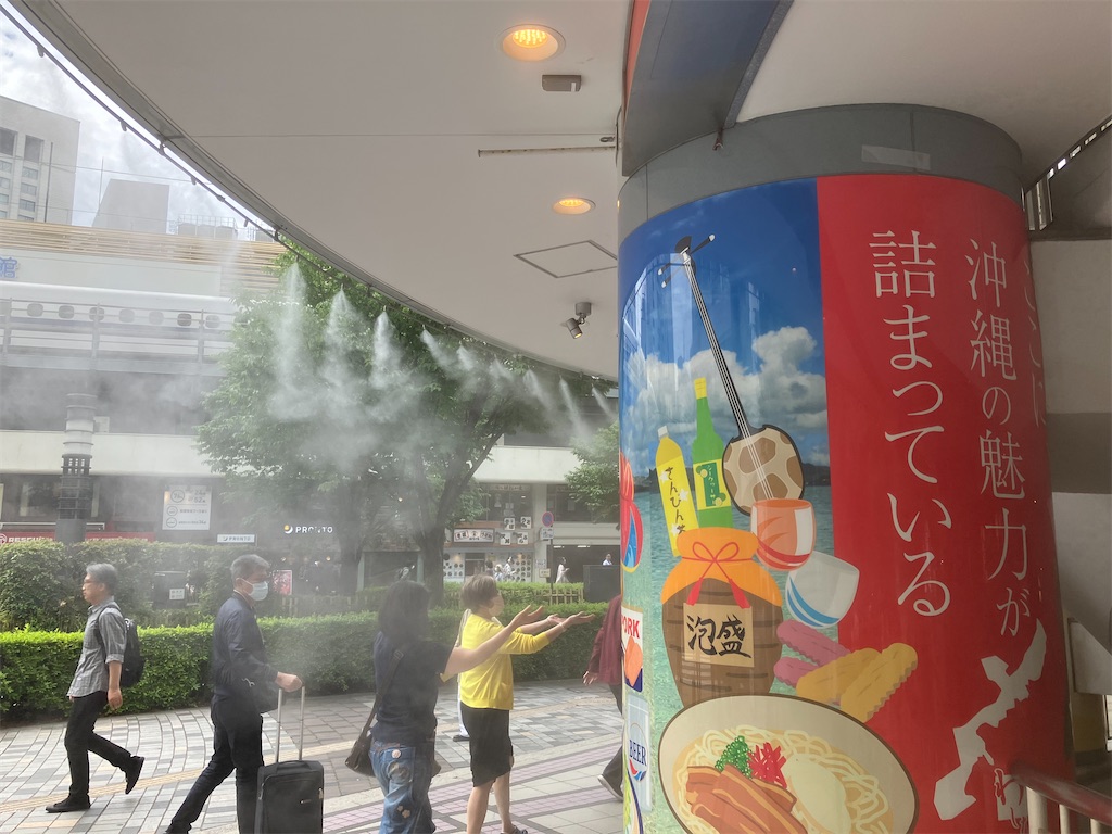 f:id:takaaoyama:20250605051359j:image