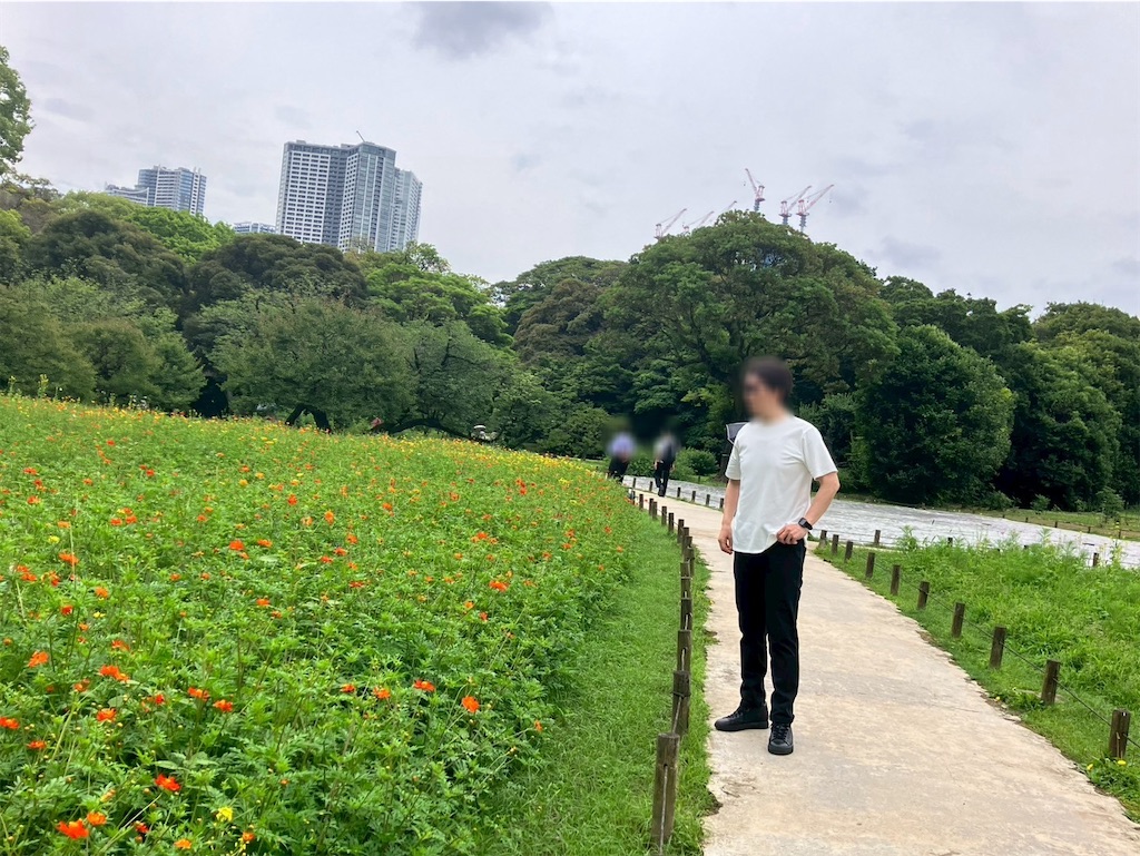 f:id:takaaoyama:20250615075230j:image