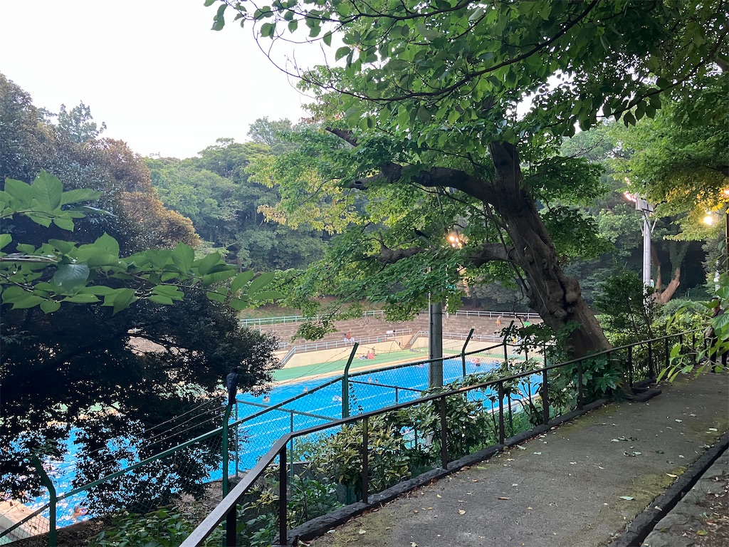 f:id:takaaoyama:20250805171534j:image